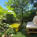 Studio Apartments Kali Apartman *