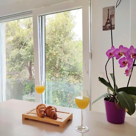 Studio Apartments Kali Appartement