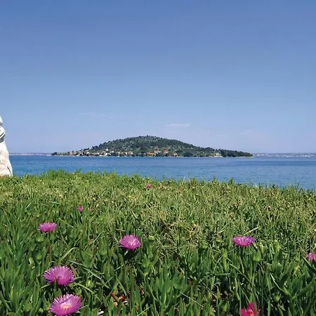 Studio Apartments Kali Appartement *