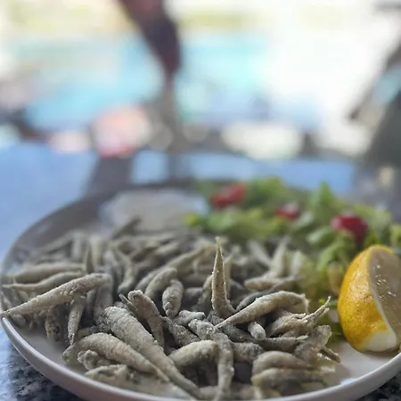 Studio Apartments Kali * Kali