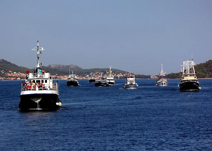 Studio Apartments Kali