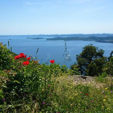 Studio Apartments Kali Daire *