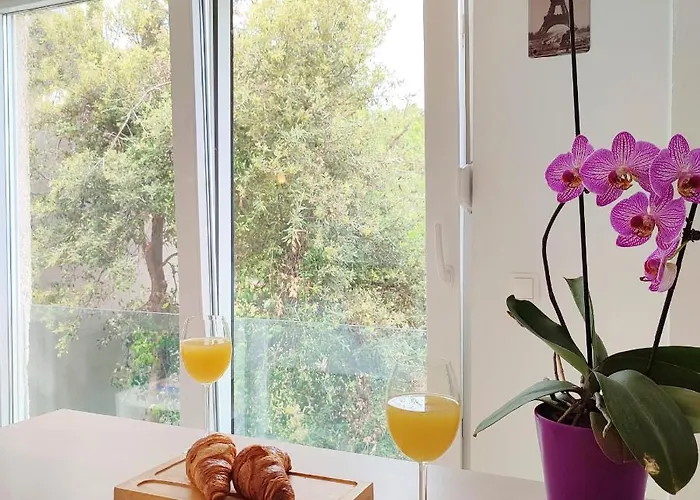 Studio Apartments Kali Appartement