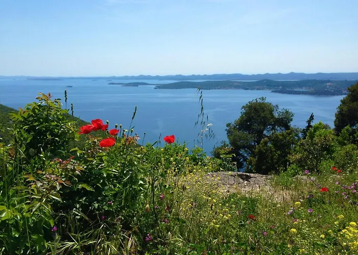 Studio Apartments Kali Appartement *